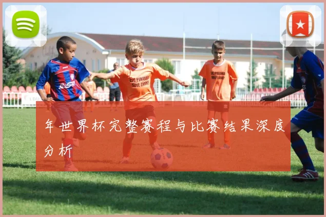 年世界杯完整赛程与比赛结果深度分析